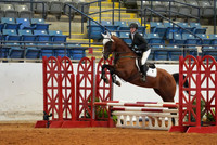 133.Ivins.Averi.CG6
