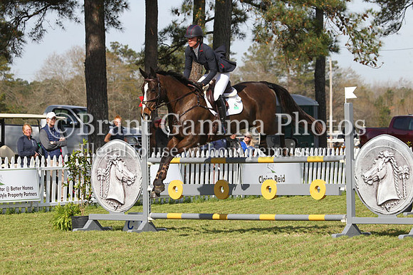 CI3P2015