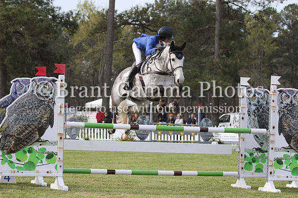 aCI3E2538