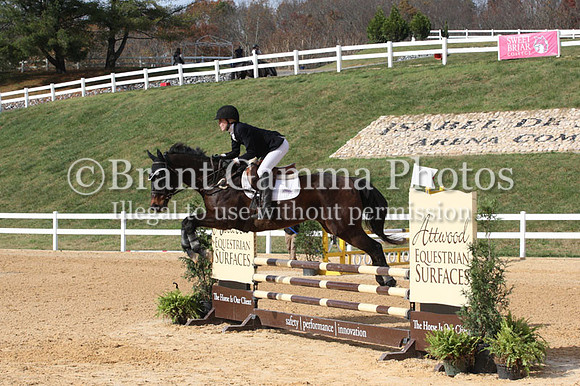 VF4L3818
