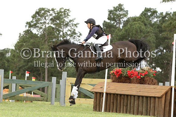 LL5Q1186