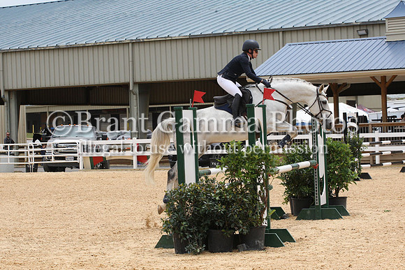 VS3L2832