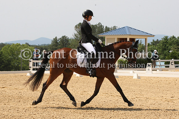 VS3L0238