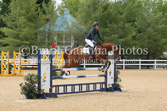 VS3L2011