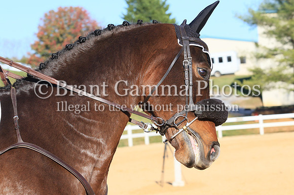 VF4B2077