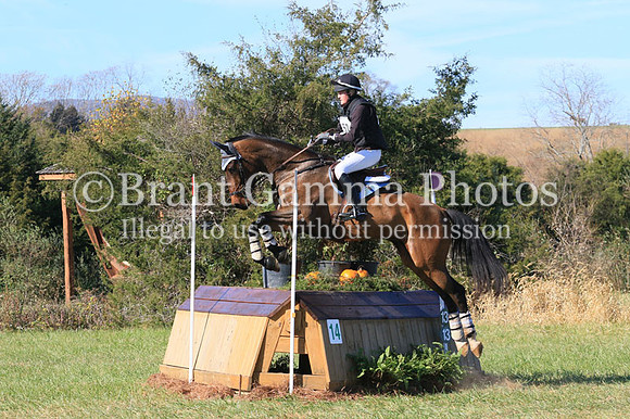 VF4B3405