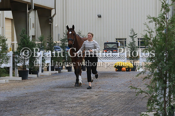 VF4B0454
