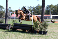 SP1C2007