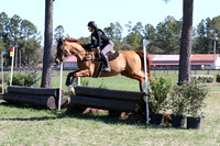SP1C2008