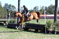 SP1C2009