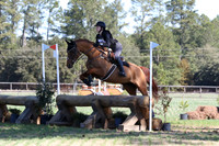 SP1C2011
