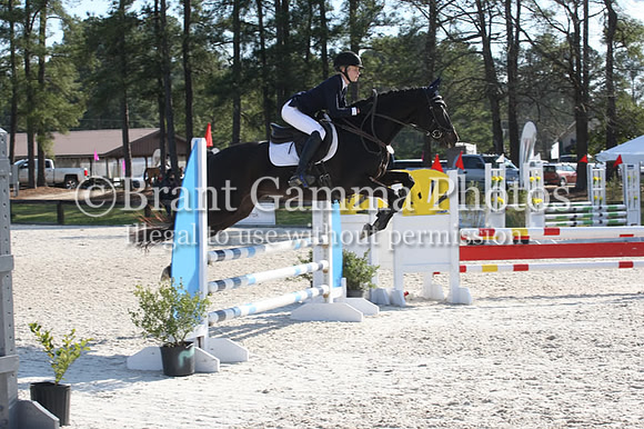 SP1L2013