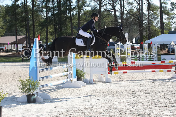 SP1L2014