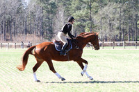 SP1C1697