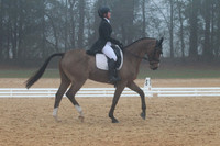CI1P0372