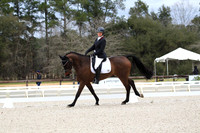 CI1B2469
