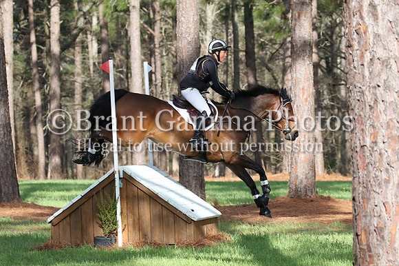 CI1C6559