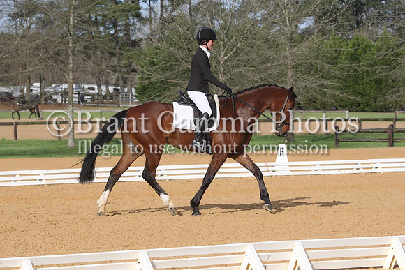 CI1L0439