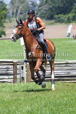 MB3P1441
