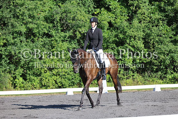 GV3R8239