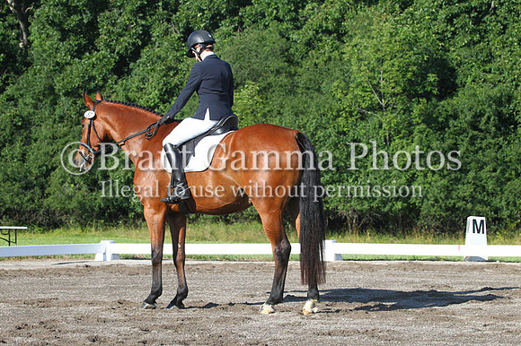 GV3P0532