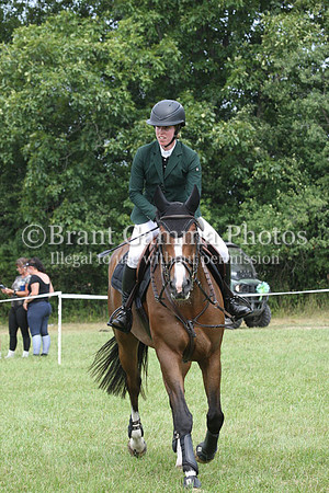 GV3P7296