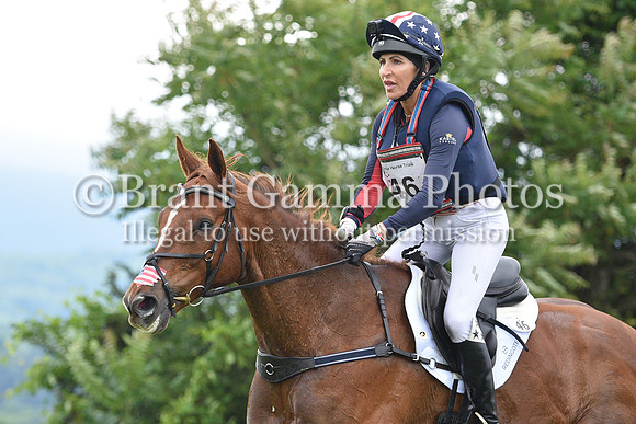 aLCM_1617