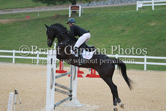 VS1P1986