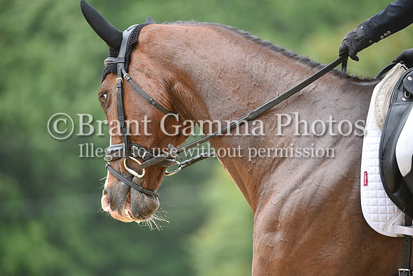 LCM_0299