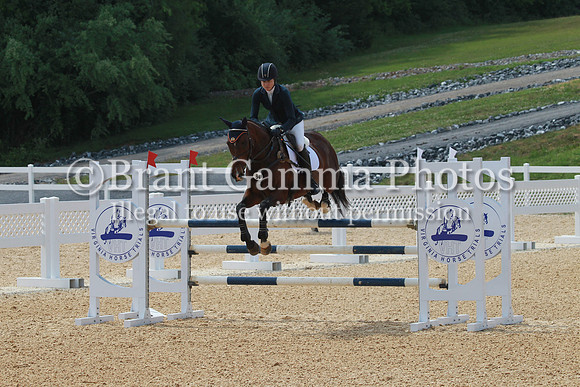 VS1P1656