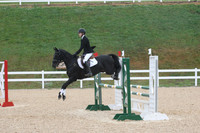VS1L4250