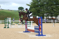 VS1L2010