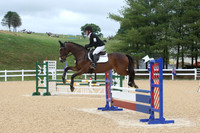 VS1L2011