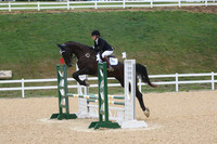 VS1L3000
