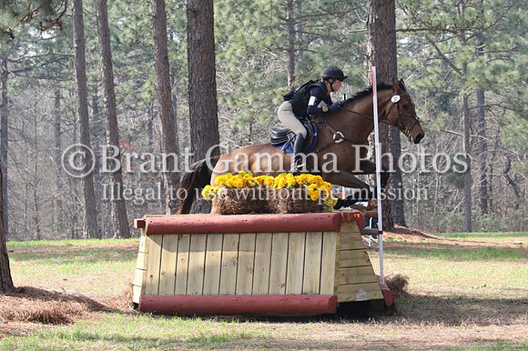 SP8C0206