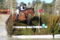 CI8B2011