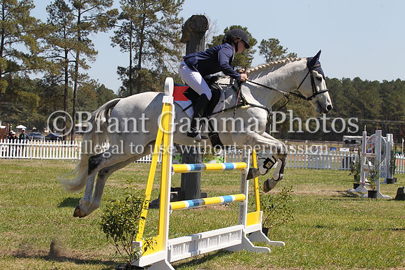 CI8P3380