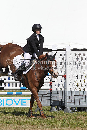 CI8P4038