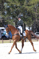 CI8B0728