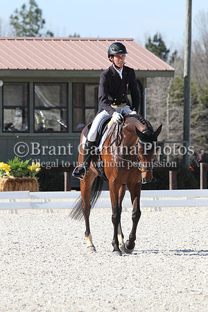 CI8P1589