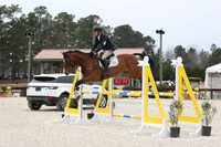 CI8L7146