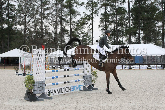 CI8L7828