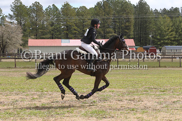 CI8S9333