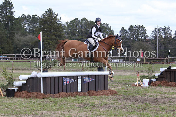 CI8S9594