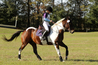 WC7E0815