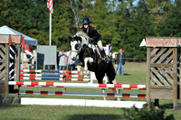 aDWC_3532