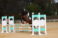 VF7L2169