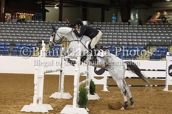 VF7B3241