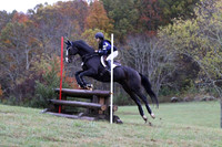 VF7C5311