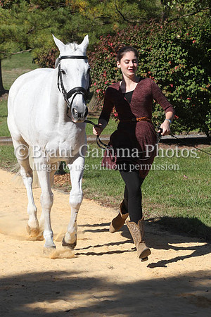 VF7P0435